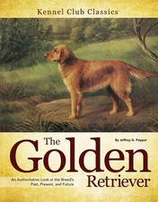Golden retriever authoritative for sale  Haltom City