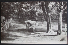 1904 real photo for sale  HUNTINGDON