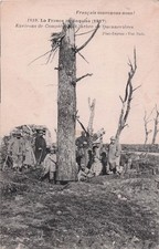 Compiegne arbre quennevieres d'occasion  France