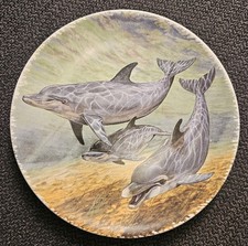 Poole pottery plate for sale  HAVANT