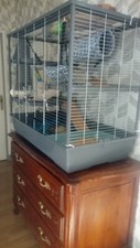 Furet cage accessoires d'occasion  Lacaune