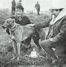 Hare coursing waterloo for sale  WORCESTER
