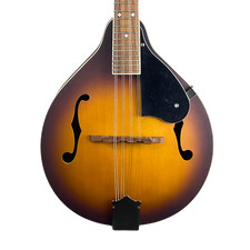 Fender 180e mandolin for sale  Sedalia