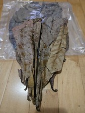 Large catappa indian for sale  Morrisville
