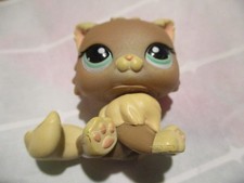 Petshop chat persian d'occasion  Expédié en Belgium