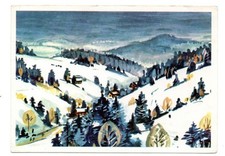 Alte postkarte winter gebraucht kaufen  Plessa