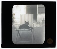 Chat chaise plaque d'occasion  Paris V