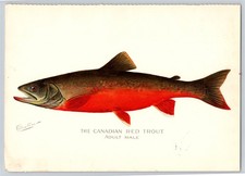 1899 canadian red for sale  South English