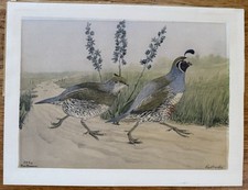 Signed original 1930 for sale  Scottsdale
