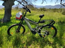 Riese muller superdelite for sale  San Diego