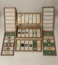 Antique prepared entomology for sale  LONDON
