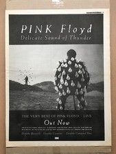Pink floyd delicate for sale Pink floyd delicate for sale  CHESTERFIELD