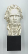 Ludwig van beethoven gebraucht kaufen  Göppingen