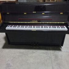 Pianoforte nieer trasporto usato  Vaprio d'Agogna