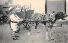 Dog drawn milk for sale  Cheshire