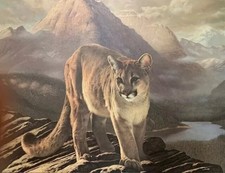 Charles frace cougar for sale  Mammoth Spring