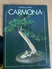 Carmona bonsai news usato  San Lazzaro di Savena