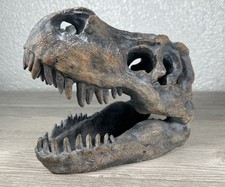 Rex skull decor for sale  Mabank