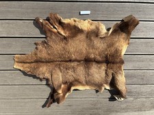 wildschweinfell gebraucht kaufen  Ebergötzen