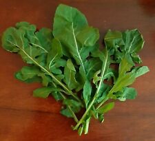 Rucula  para Ensaladas Eruca Sativa Rucola 5200  Rúcula Semillas Seeds huerto comprar usado  Enviando para Brazil