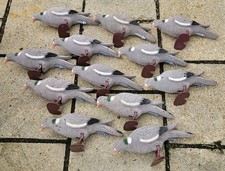 Flocked pigeon quality for sale  CHIPPENHAM