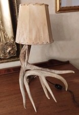Whitetail deer antler for sale  Palatine