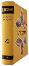 Tesoro del ragazzo usato  Reggio Calabria