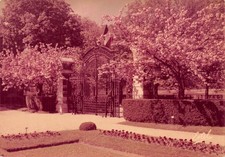 Paris etablessement horticole d'occasion  France