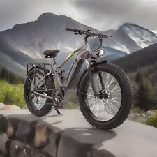 Burchda zoll fatbike gebraucht kaufen  Braunschweig