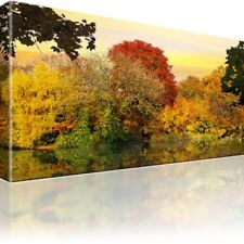 Wald see herbst gebraucht kaufen  Deutschland