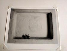 Fotografie flor garduño usato  Milano