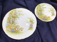 Shelley china daffodil for sale  Lake Worth