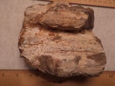 Oregon raw petrified for sale  Yuba City