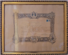 Laurea università degli usato  Roma