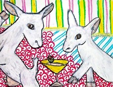 Aceo mini saanen for sale  Colbert