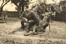 1960s hunter military for sale  Leitchfield