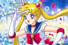 Sailor moon collection for sale  Naperville