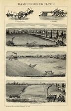 1889 antica stampa usato  Pescara