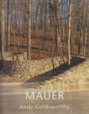 Mauer storm king gebraucht kaufen  Sibbesse