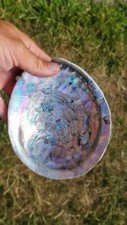 Large abalone shell for sale  WOKING
