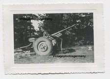 Z2811 foto polen gebraucht kaufen  Kirchhain