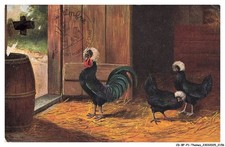 Bfp1 1079 chicken d'occasion  Expédié en Belgium