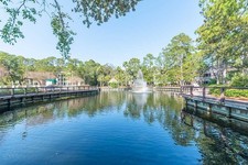 timeshare cancellation for sale  Orlando