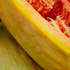 Banana melon seeds for sale  Minneapolis