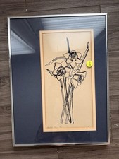Patricia hagstrom daffodils for sale  Fort Worth