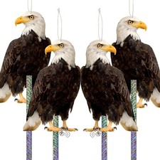 Dissuasori per piccioni usato Dissuasori per piccioni usato  Zoagli