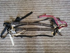 Solo equestrian horse for sale  LAUNCESTON