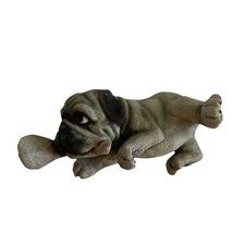 Dog puppy pug for sale  Anaheim