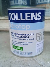 Peinture tollens intérieure d'occasion  Paris V