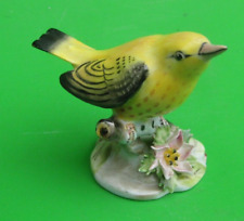 Royal adderley bird for sale  MALVERN